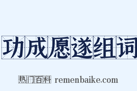 功成愿遂组词是什么意思的图片